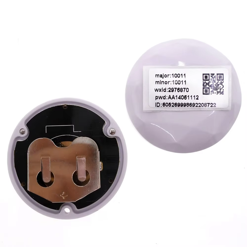 Balise nRF52810 ibalise, module Bluetooth BLE4.2, positionnement intérieur, protocole ANT basse cons
