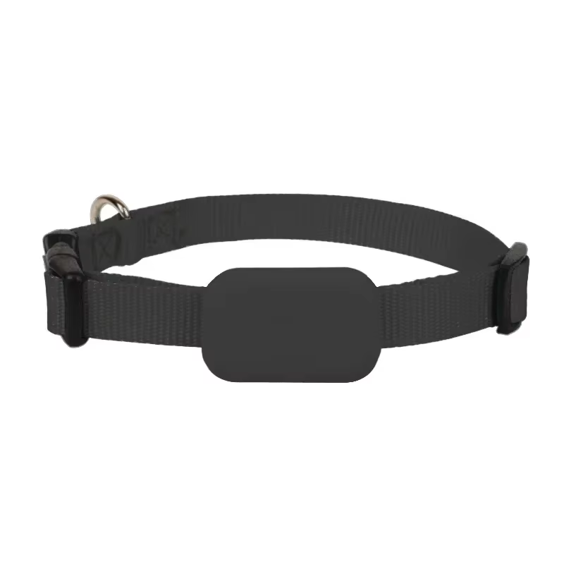 Mini chien Gps étanche, suivi des animaux, colliers d'alerte de mouvement, traceur Anti-perte pour c