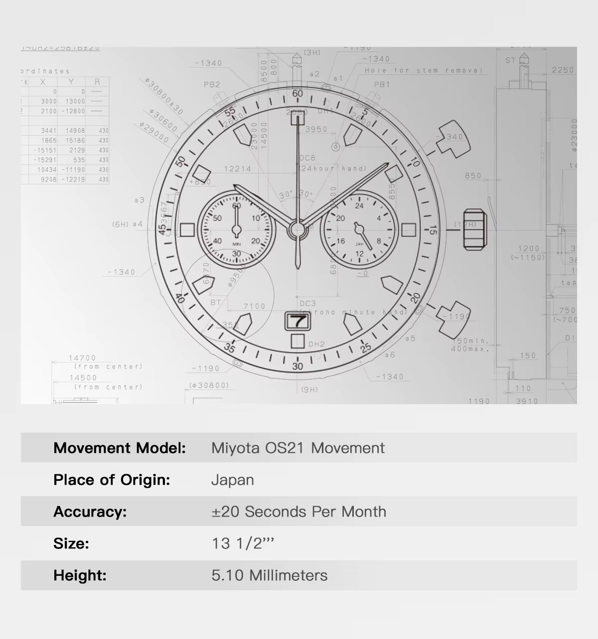 TIMETOKEN – montre japonaise T501GS pour hommes, mouvement Miyota OS21, cadran pastèque, chronograph