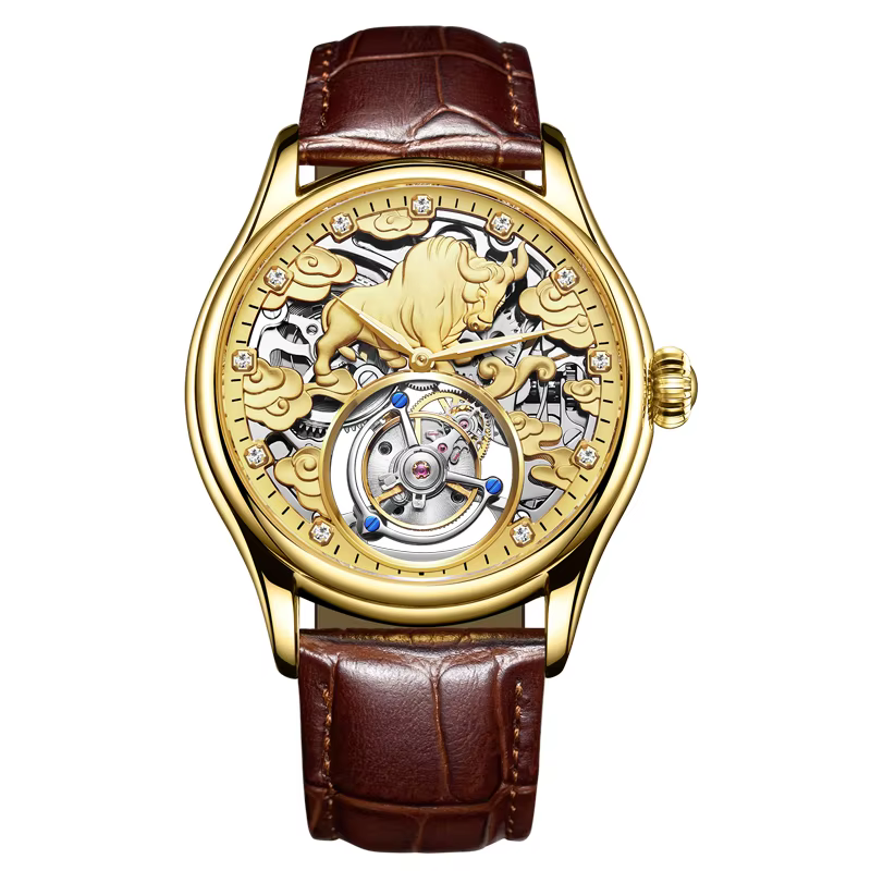 AESOP véritable Tourbillon squelette montre pour hommes haut de gamme montres mécaniques de luxe éta