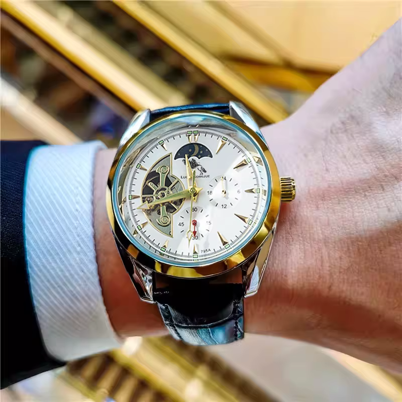 【Montre mécanique automatique pour homme】Montre mécanique automatique pour homme, montre pour homme 