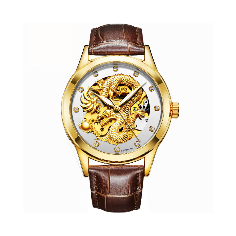 Montre automatique pour homme BINBOND, tourbillon, vintage, dragon, mécanique, montres-bracelets pou
