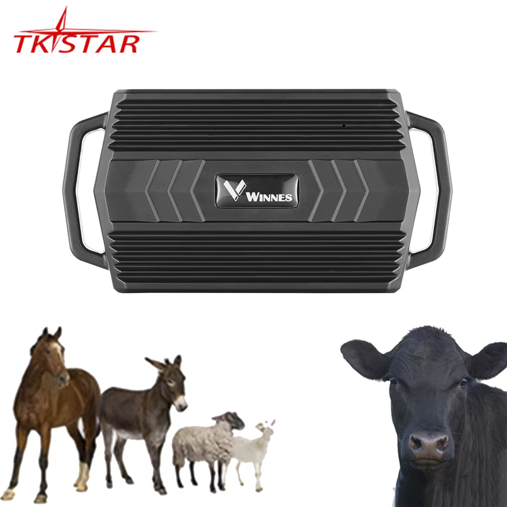 Localisateur GPS Animal pour vache chameau TK935, 3000mAh, localisateur GPS étanche, aimant de voiture, application Web gratuite PK TK905