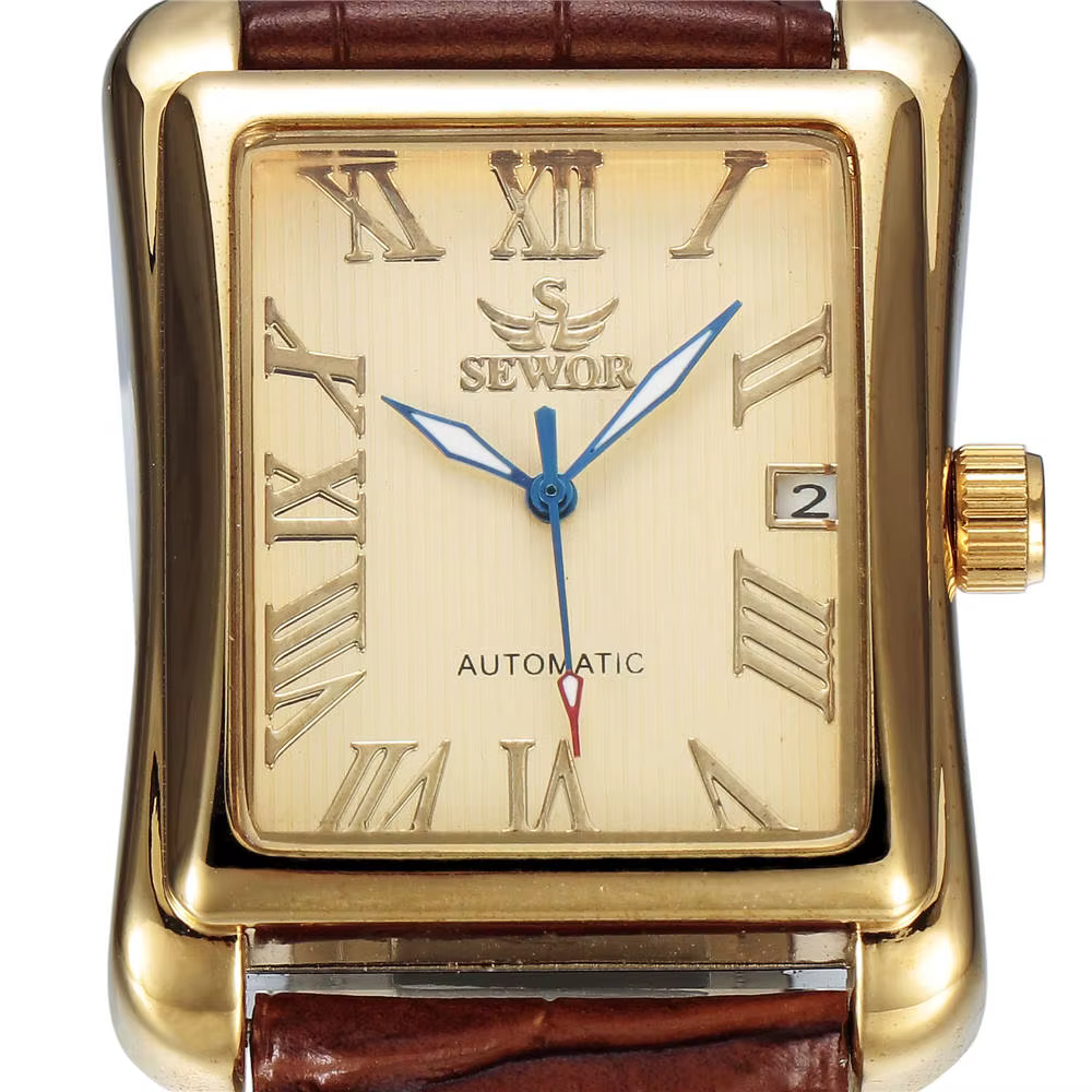 Montres Mécaniques Automatiques pour Homme