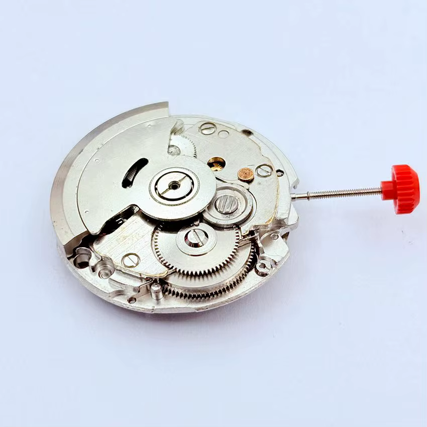 1 pièce d'accessoire de montre