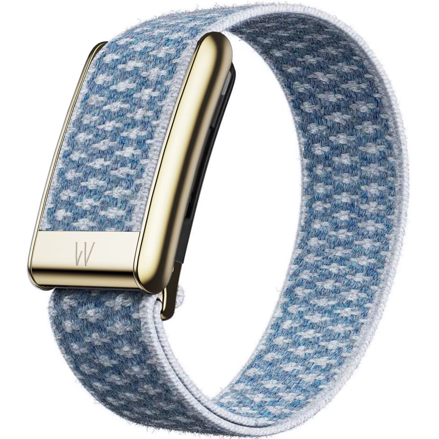Il s'agit juste d'un bracelet de montre en vente