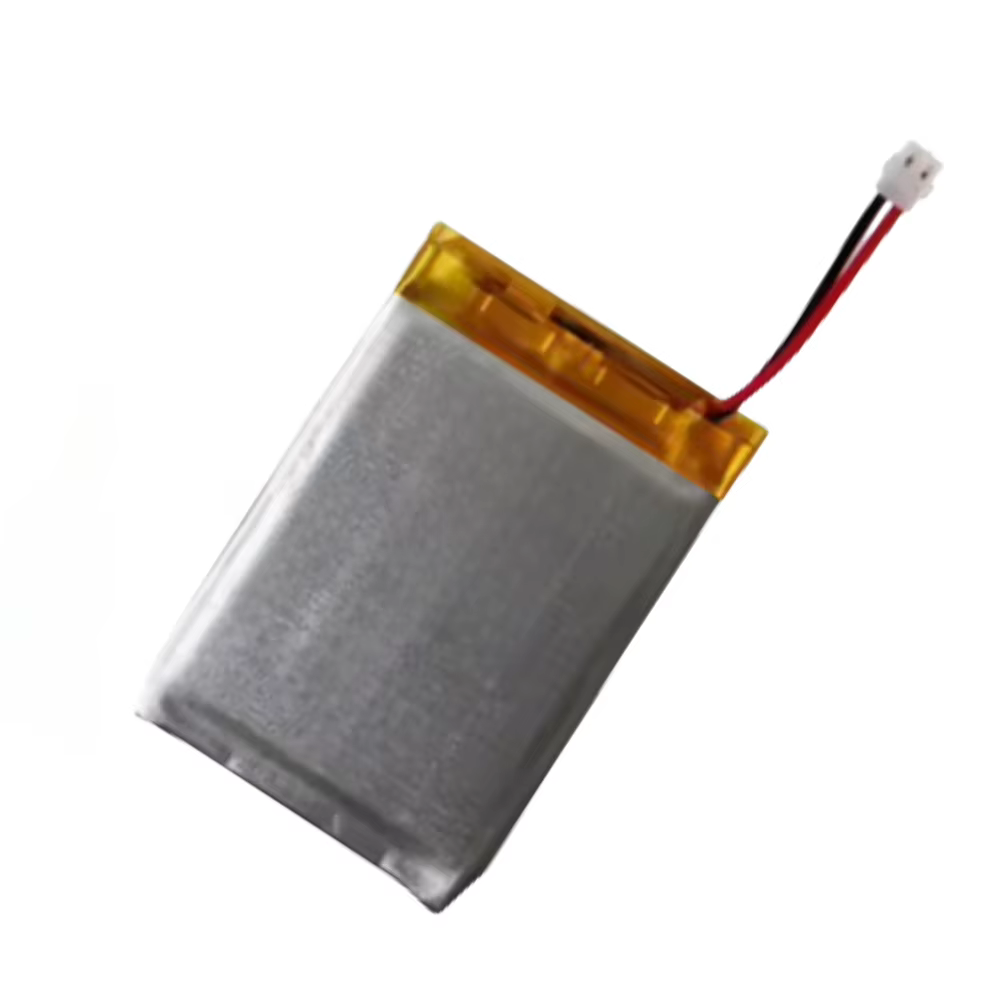 Batterie pour Garmin Forerunner 30 35 45 45S 55 158 165 220 225 230 235 Lite 245 255 255S 265 265S 310xt 910xt 920xt 645 935 945