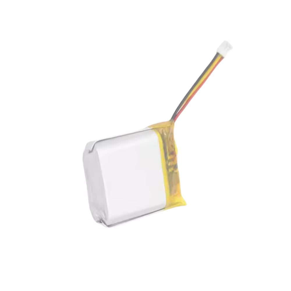 Batterie de montre intelligente pour Garmin Forerunner