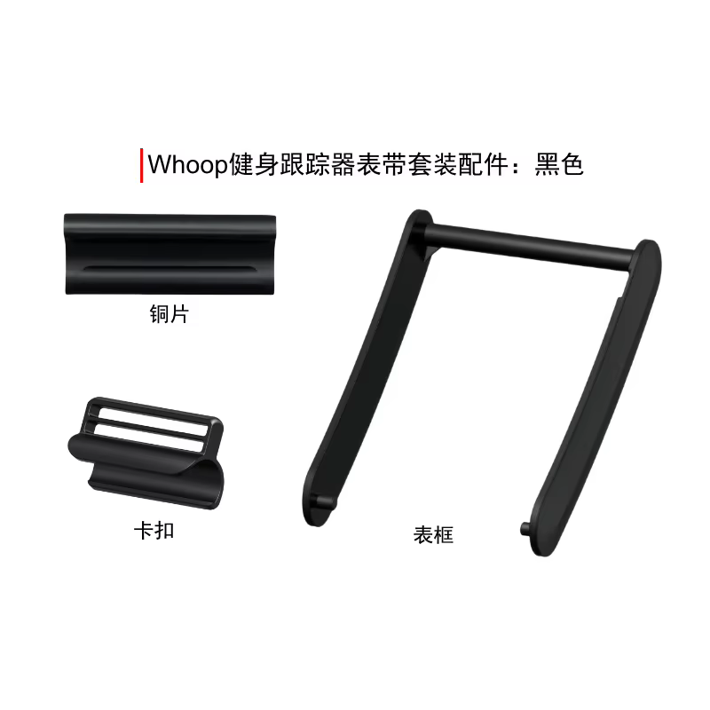 Connecteur en acier inoxydable pour Bracelet intelligent Whoop 5.0