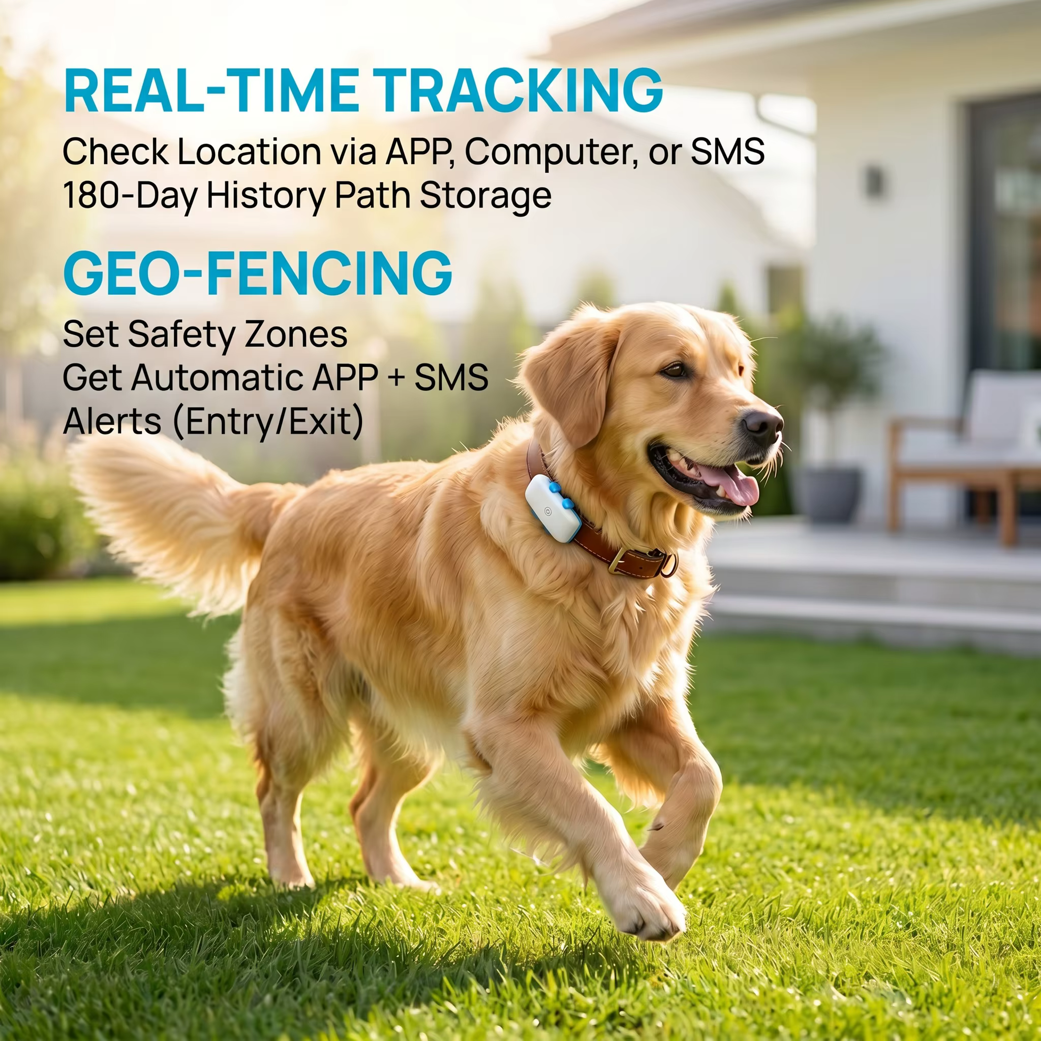 Traceur GPS 4G pour animaux de compagnie, mini GPS pour chat et chien, localisation en temps réel, alerte par vibration, géolocalisation, longue autonomie, compatible avec collier pour chien et chat,