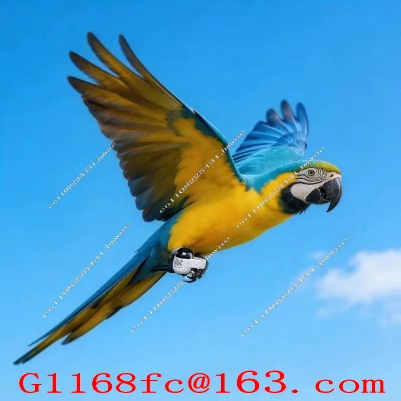 1-20 pièces – Anneau GPS professionnel et précis avec fonction d'analyse des données de vitesse