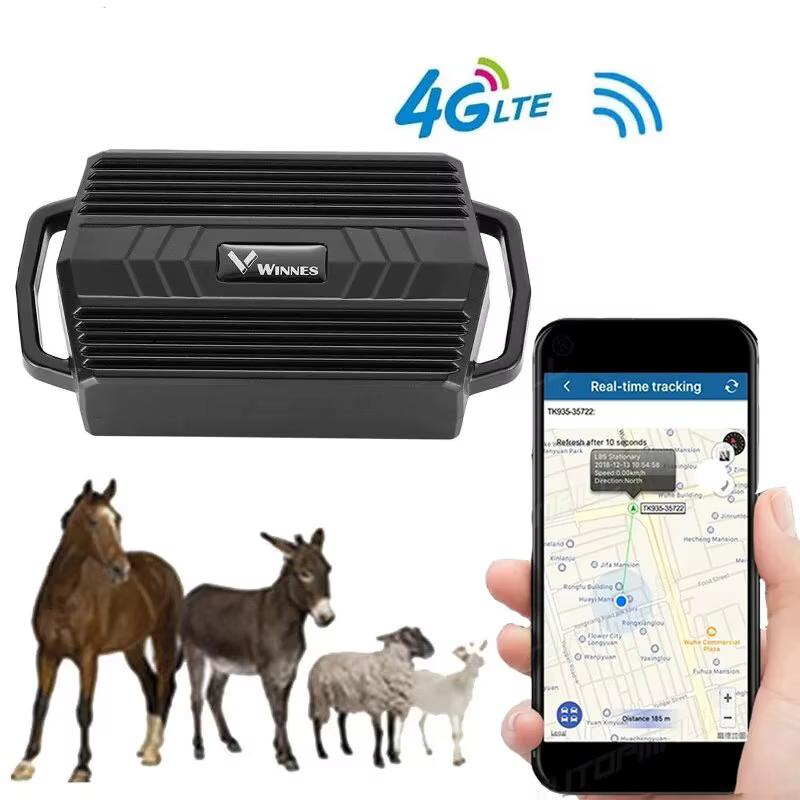 Traceur GPS pour animaux (vaches, chameaux, moutons) TK935 3000mAh, localisateur étanche en temps réel, aimant pour voiture, application web gratuite, PK TK905