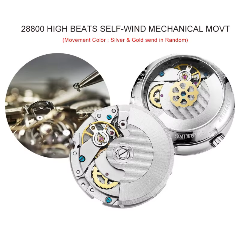 Montre existent pour Homme Série Classique