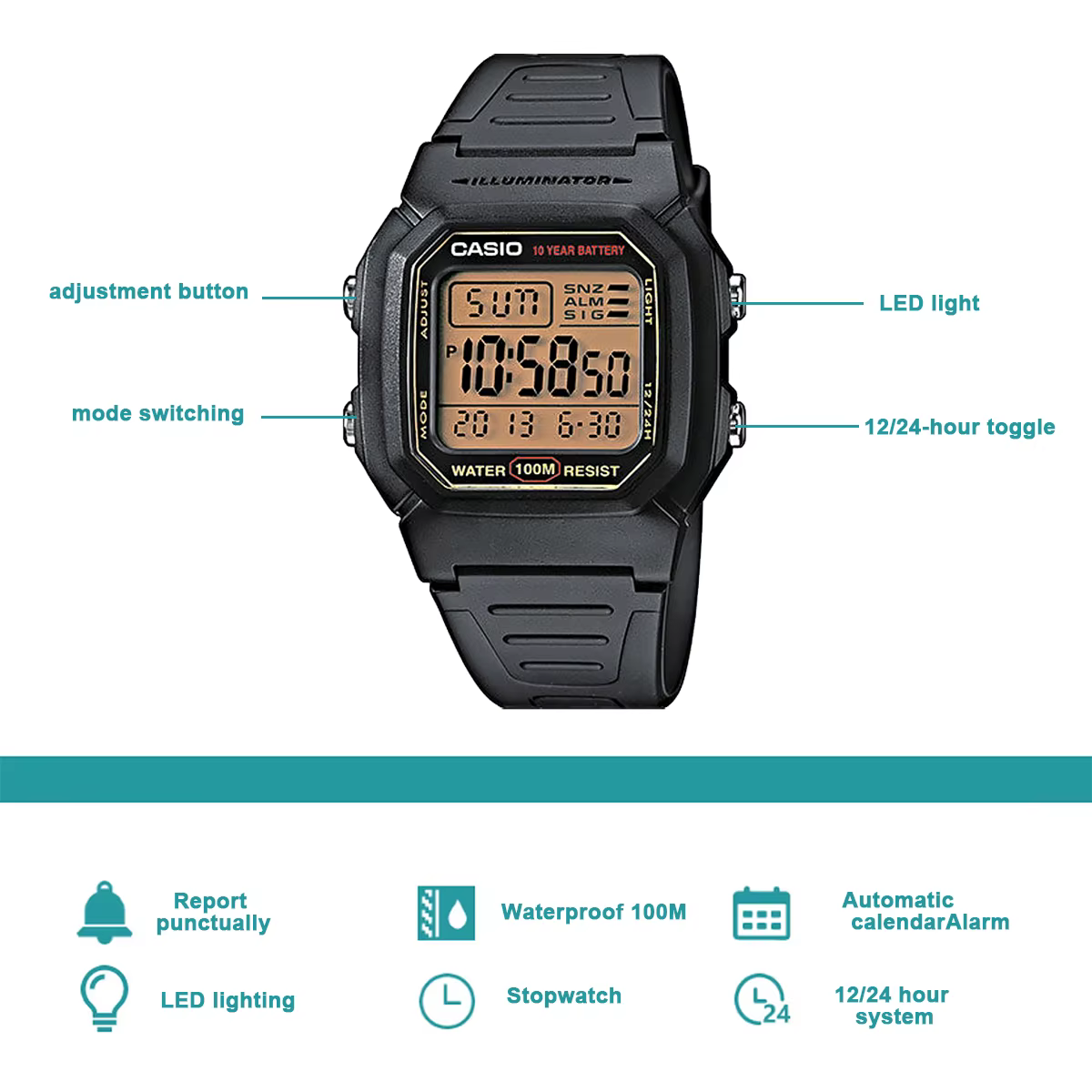 Casio W800HG | Montre numérique pour homme | Résistance à l'eau de 100 mètres | Chronomètre 100 secondes | Calendrier