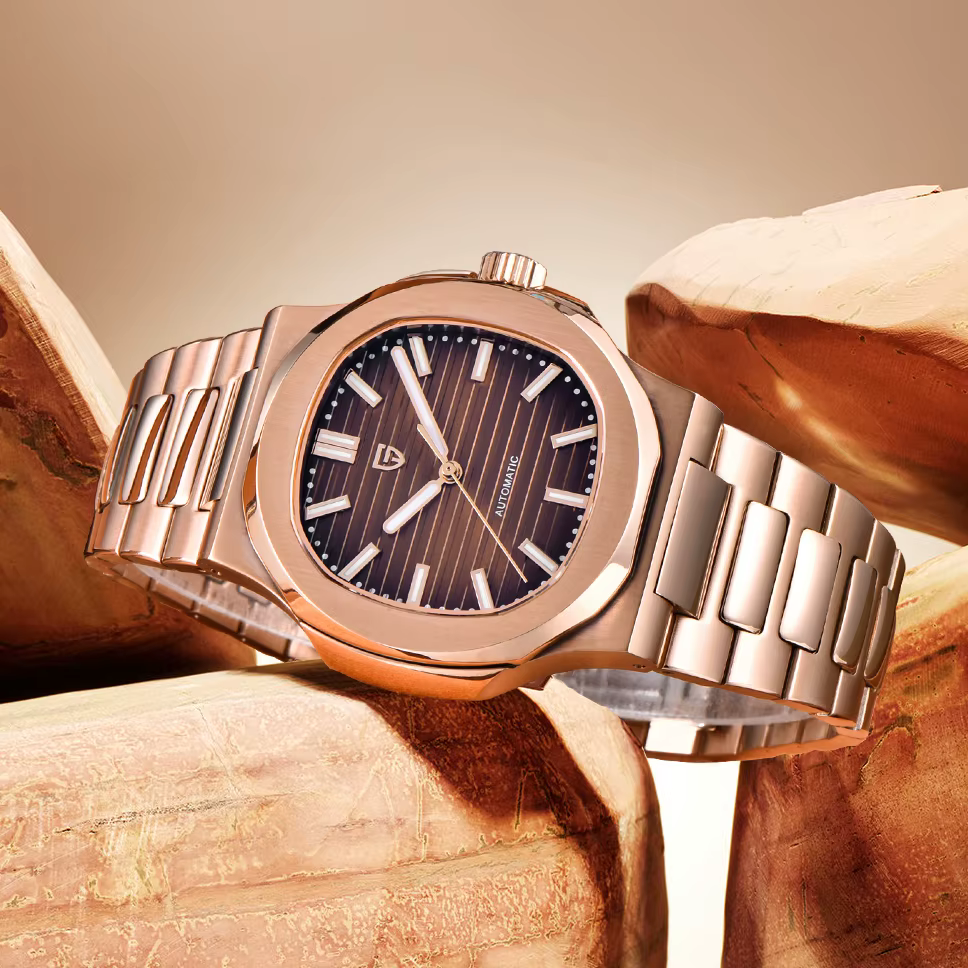 PAGANI DESIGN – montre mécanique de luxe pour hommes