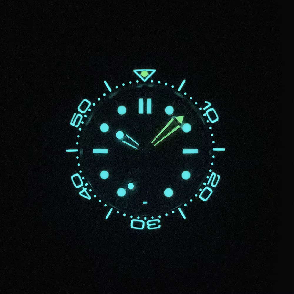 MATIC WATCH DIVER 200M 41mm PT5000 Montres-bracelets mécaniques [cadran bleu avec insert de lunette lumineuse]