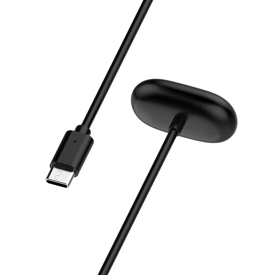 Chargeur de montre magnétique pour Google Fitbit Air