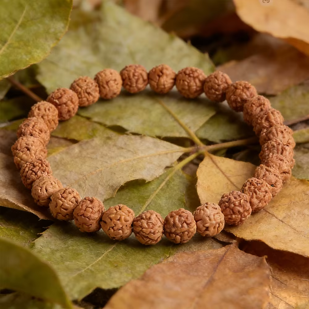 Bracelet en ULélastique Rudraksha, original