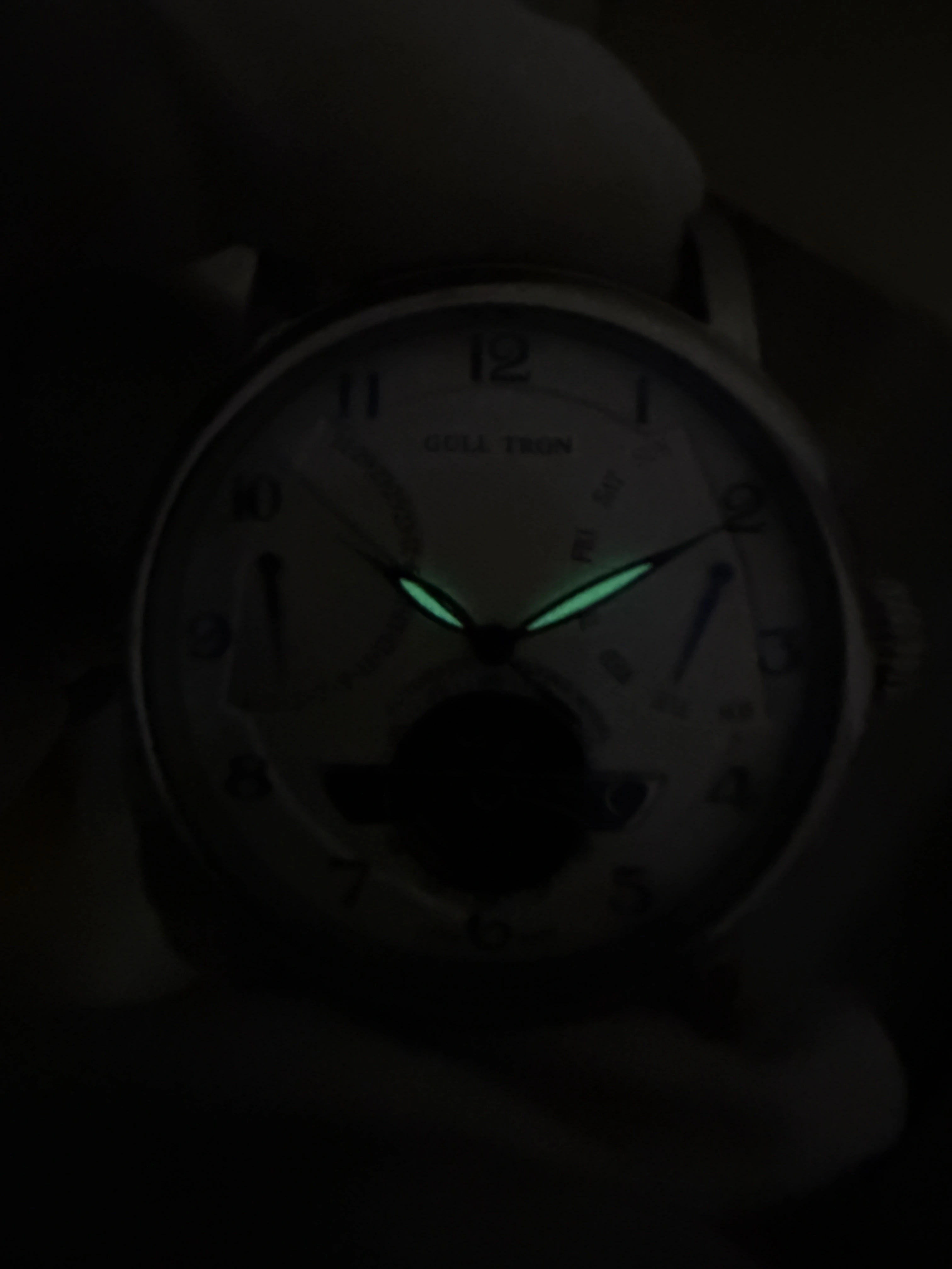 Montre mécanique automatique de luxe pour homme GULL TRON