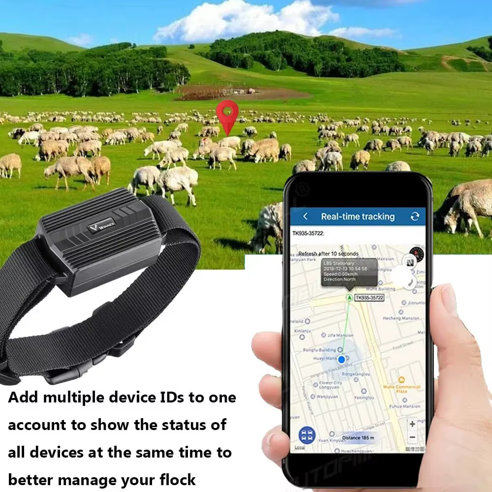 Traceur GPS pour animaux (vaches, chameaux, moutons) TK935 3000mAh, localisateur étanche en temps réel, aimant pour voiture, application web gratuite, PK TK905