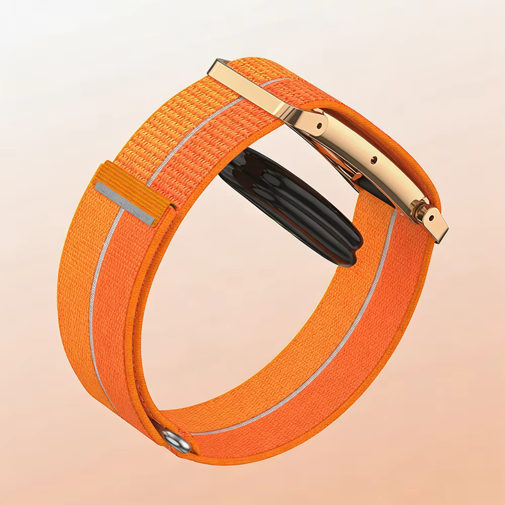 Boîtier en métal + bracelet en nylon pour Google Fitbit Air