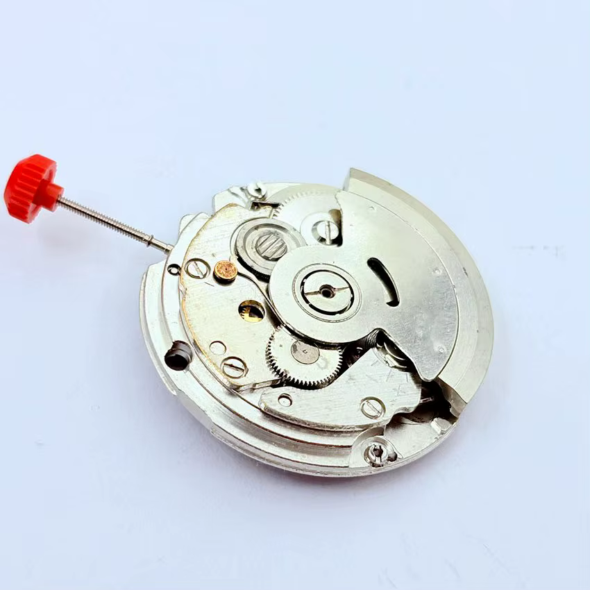 1 pièce d'accessoire de montre
