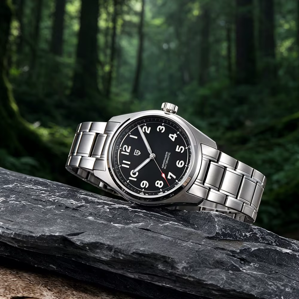 Montre automatique mécanique pour homme PAGANI DESIGN
