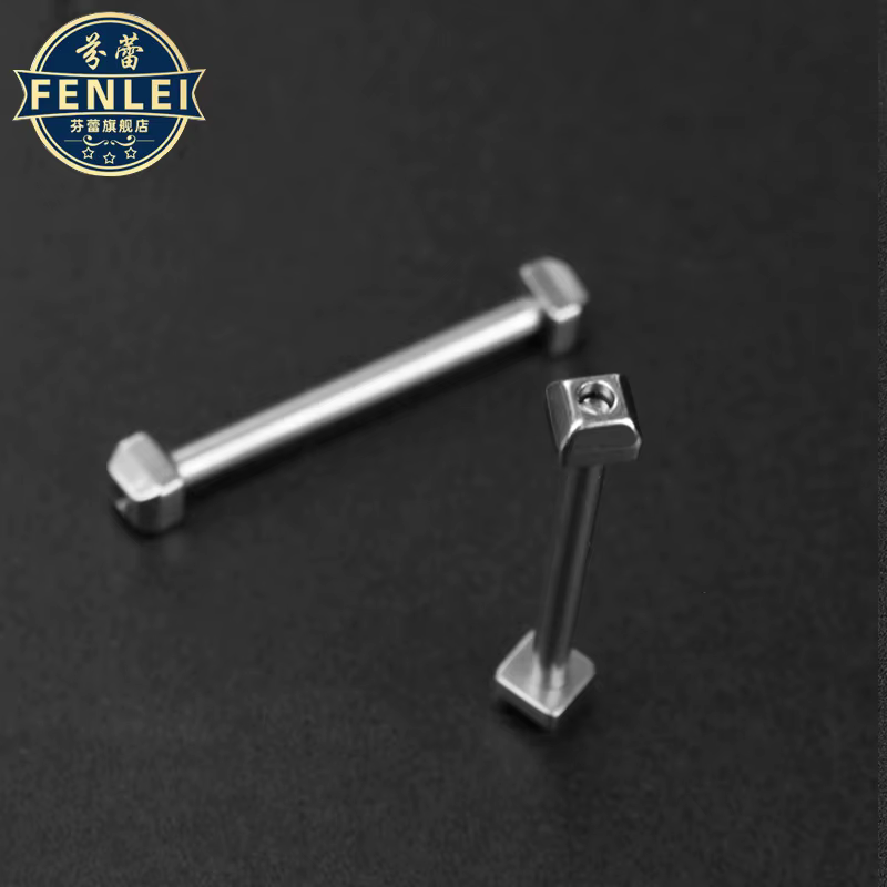 Pour Cartier PASHA montre accessoires ceinture en acier inoxydable bielle Table oreille sangle vis tige axe fixe 16mm 18mm 20mm 22mm