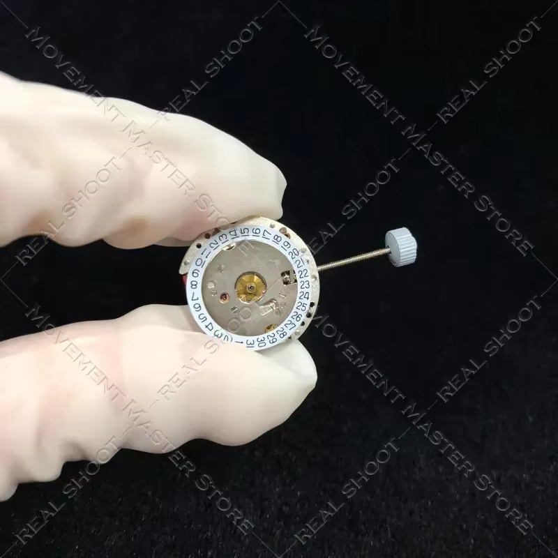 Rmoelle-Accessoires de montre à mouvement à quartz suisse