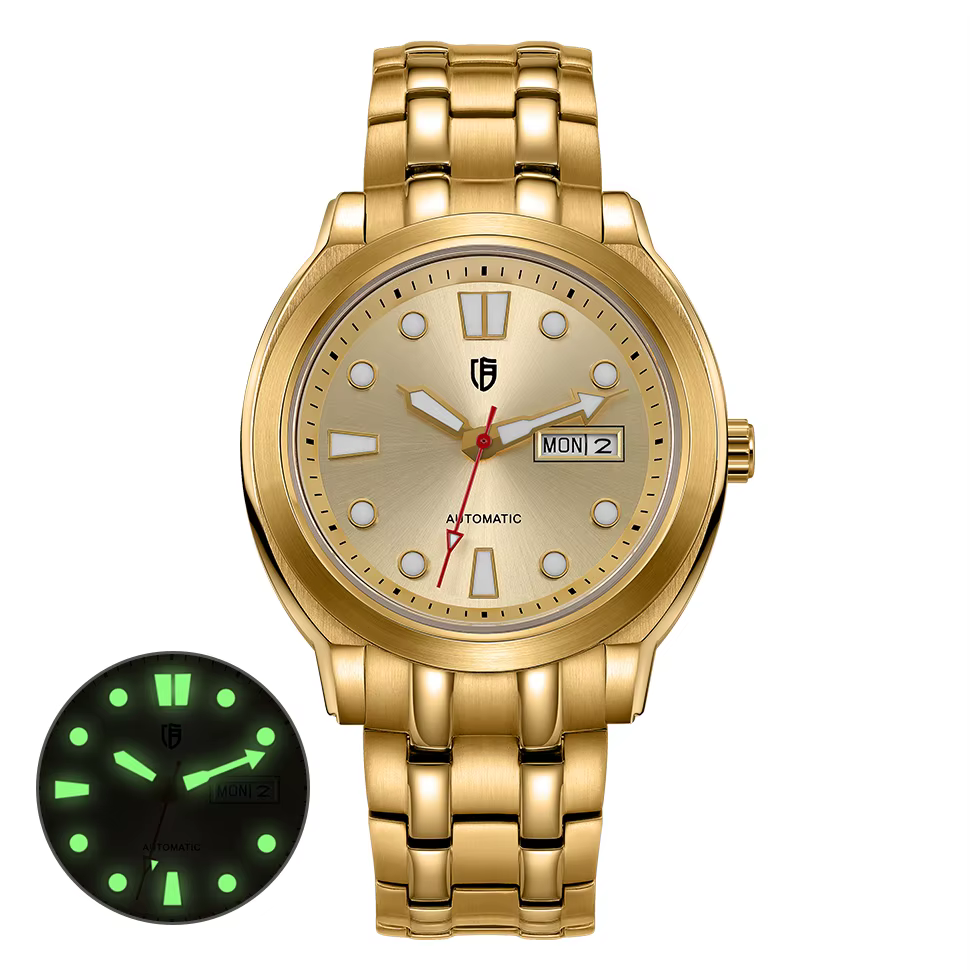 Montre mécanique automatique BERNY pour homme TMI 8205