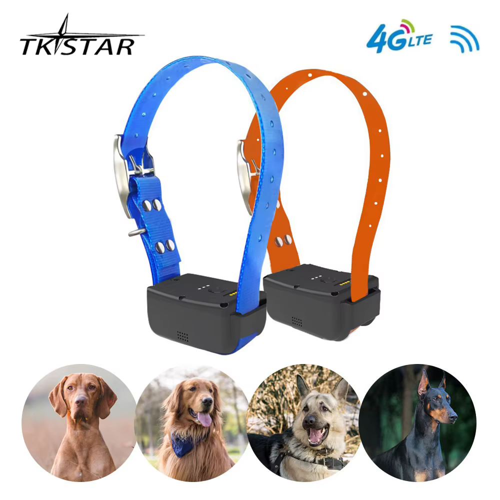 Traceur GPS 4G LTE TKSTAR TK919 pour animaux de compagnie, chiens, avec une grosse batterie de 3000 mAh, localisateur GPRS, étanche, magnétique, application Web gratuite à vie